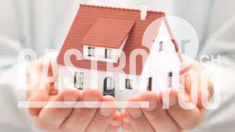 Wohnung  Haus Mieten In Thalwil Homegate Ch
